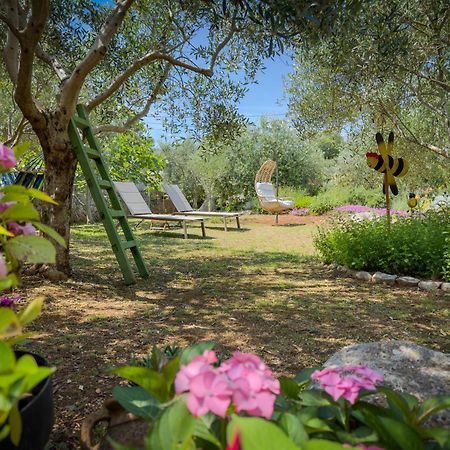 Holiday Home Lavanda Kornić Εξωτερικό φωτογραφία