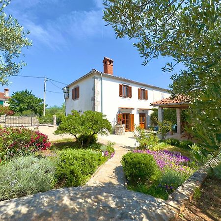 Holiday Home Lavanda Kornić Εξωτερικό φωτογραφία