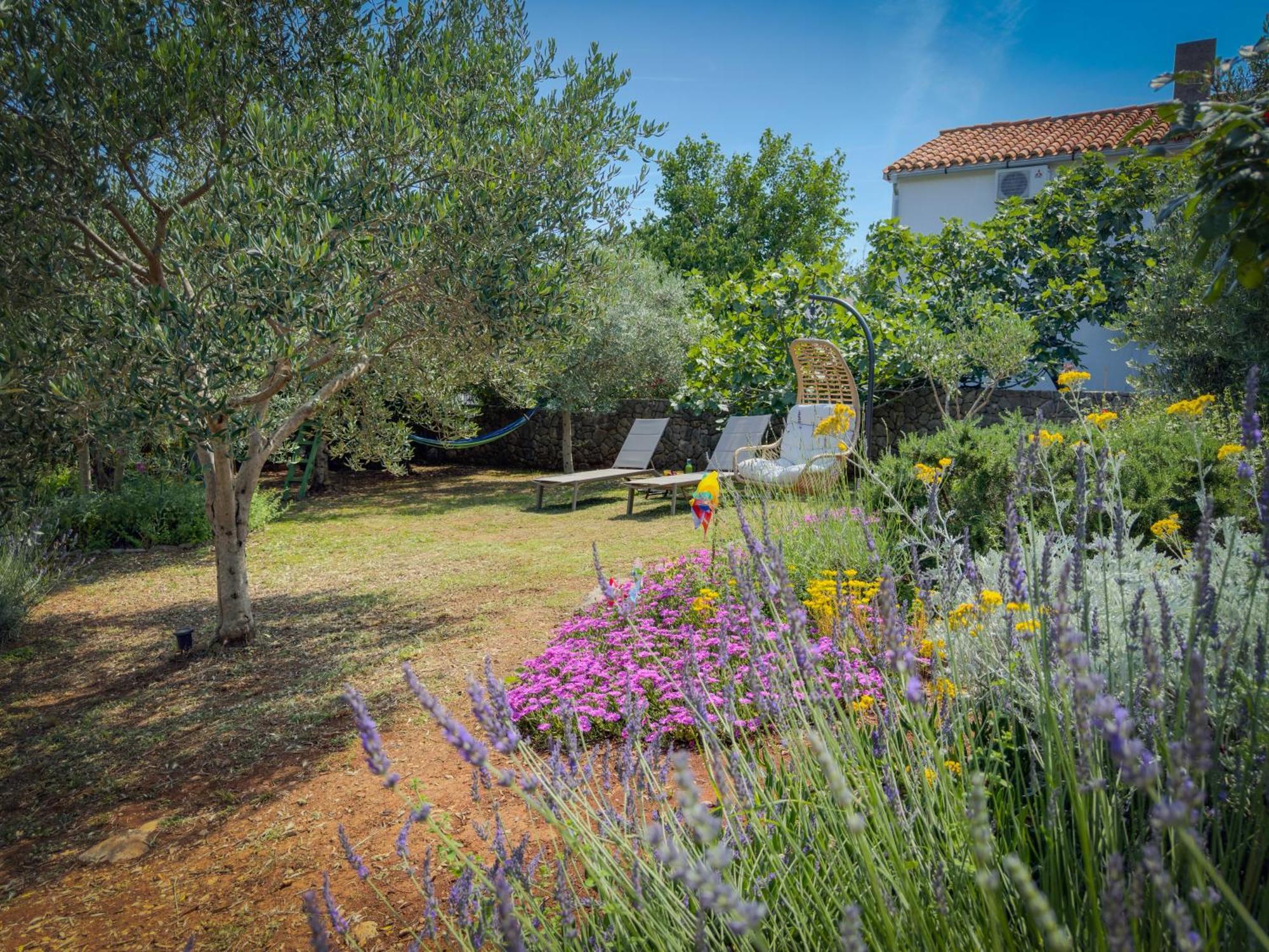 Holiday Home Lavanda Kornić Εξωτερικό φωτογραφία