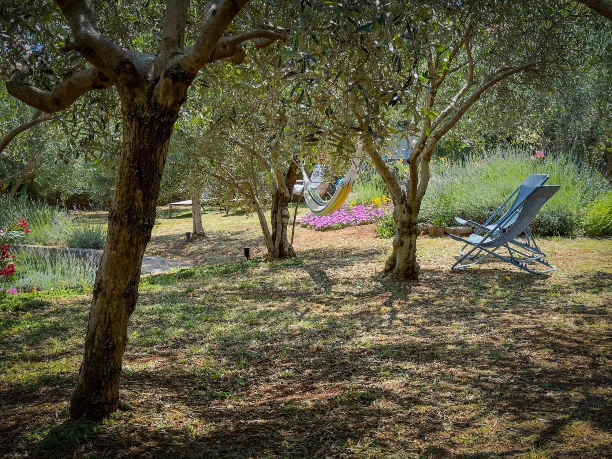 Holiday Home Lavanda Kornić Εξωτερικό φωτογραφία